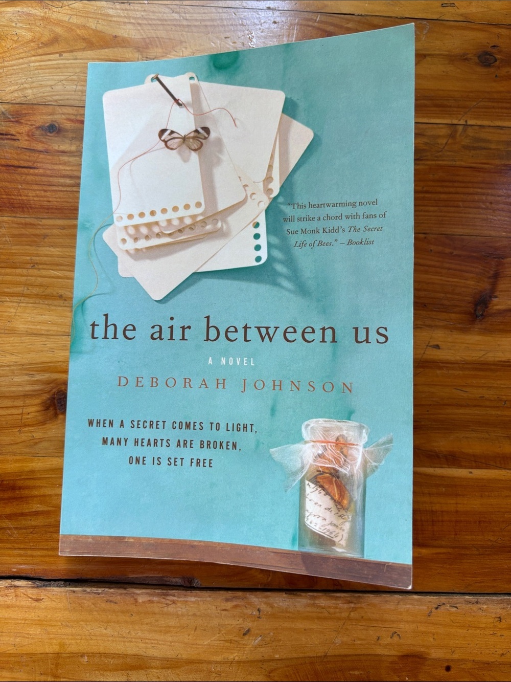 The Air Between Us by Deborah Johnson - Teal Cover